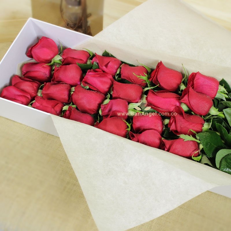 Caja con 24 rosas - Secreto 24 - San Angel BOGOTA | Flores & Regalos