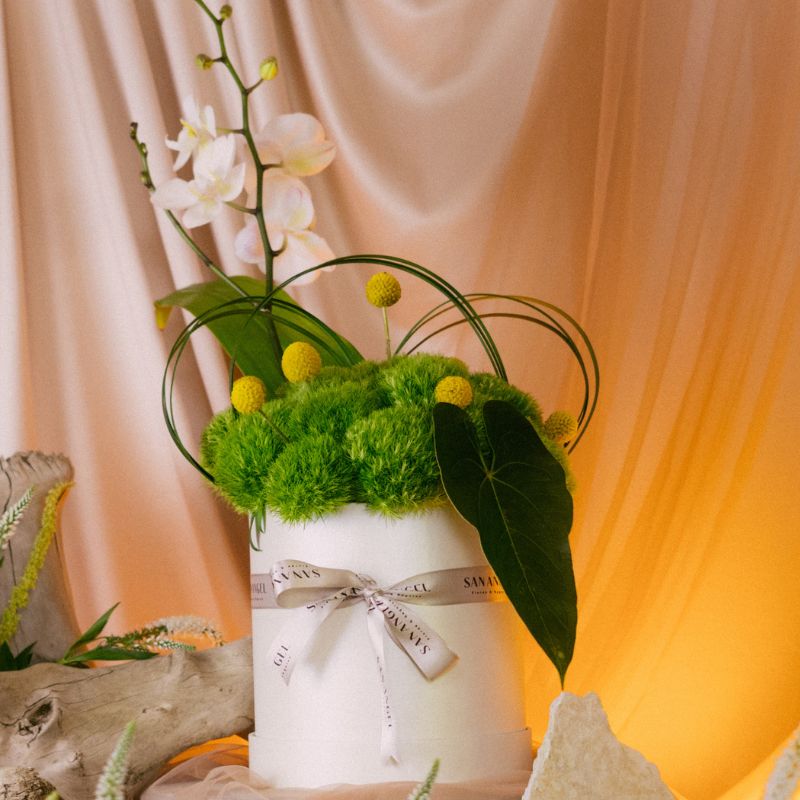 arreglo floral con orquideas bogota arreglo floral con orquideas bogota