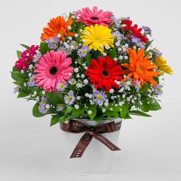 alegre primavera gerberas bogota