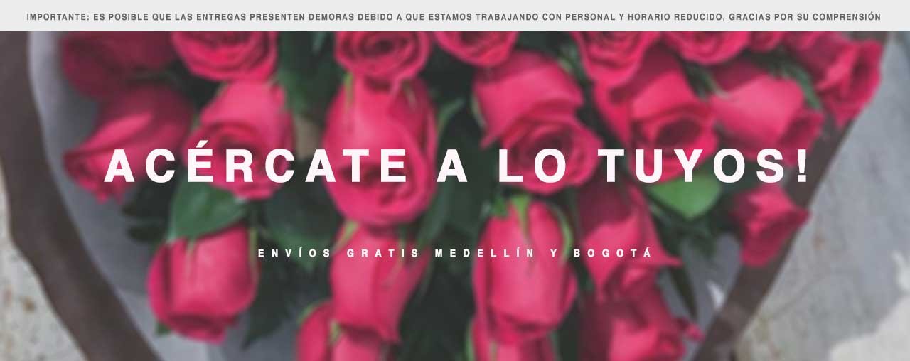 floristerias medellin